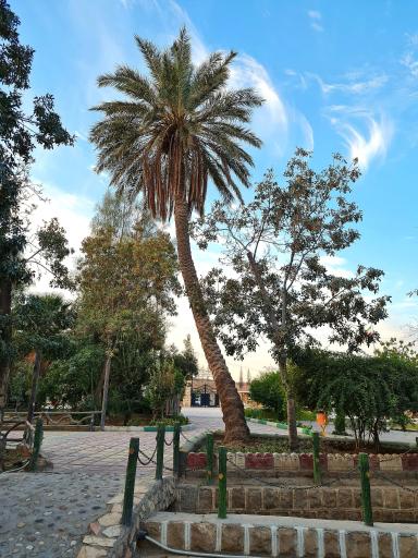 عکس باغ ارم