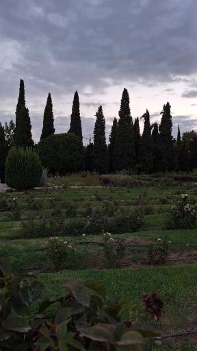 عکس باغ ارم