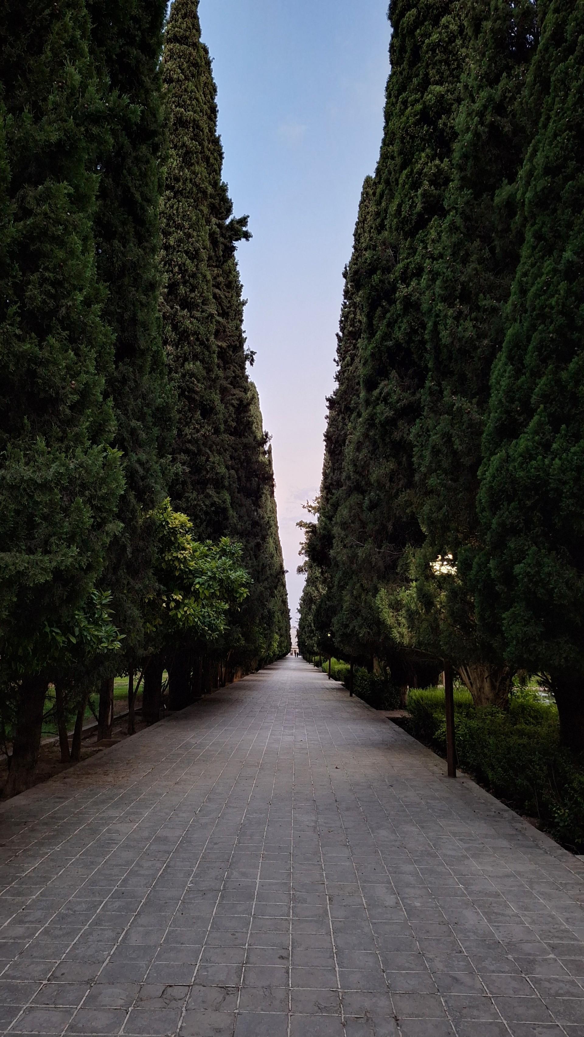 عکس باغ ارم