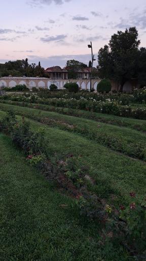 عکس باغ ارم