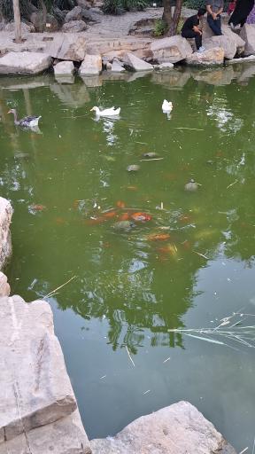 عکس باغ ارم