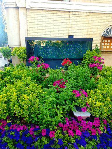 عکس باغ ارم