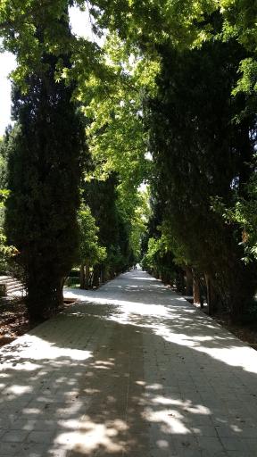 عکس باغ ارم