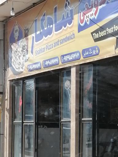 عکس پیتزا و ساندویچ شاهکار