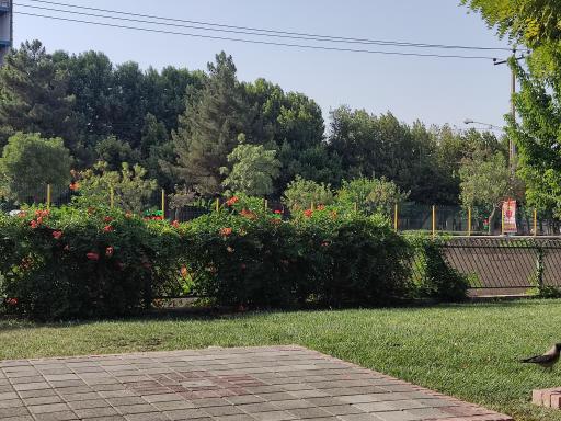 عکس زمین بازی کودکان