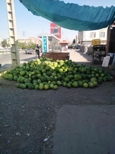 عکس  کال زرکش