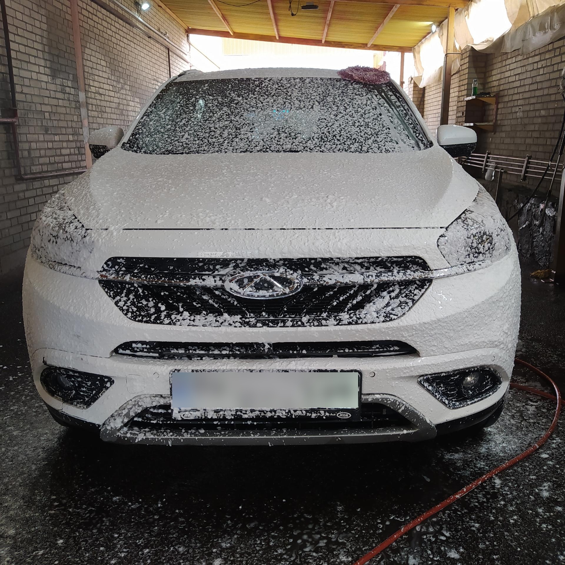 عکس کارواش نخل