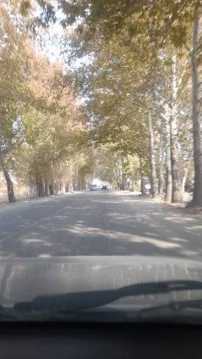 عکس سرخاب