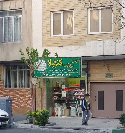 روغن ارگانیک کنجیلا