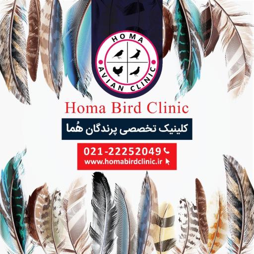 عکس کلینیک دامپزشکی تخصصی پرندگان هما 