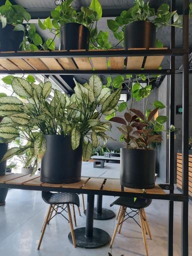 عکس کافی شاپ کندل