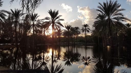 عکس چاه مسلم