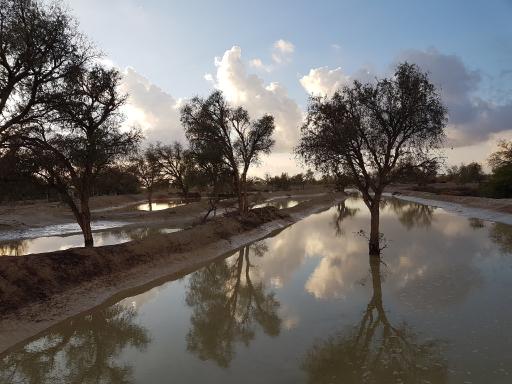 عکس چاه مسلم