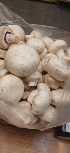 عکس مارکت نجف زاده