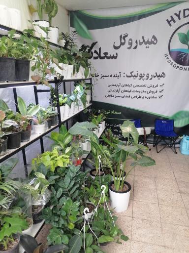 عکس گلسرای سعادت