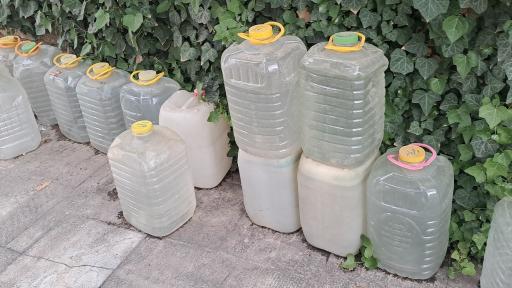 عکس گلابگیری اطلس کعبه