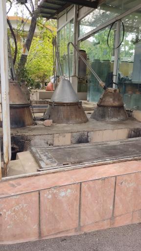 عکس گلابگیری اطلس کعبه