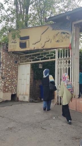 گلابگیری اطلس کعبه