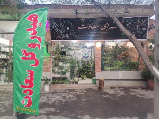 عکس گلسرای سعادت