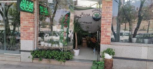 عکس گلسرای سعادت