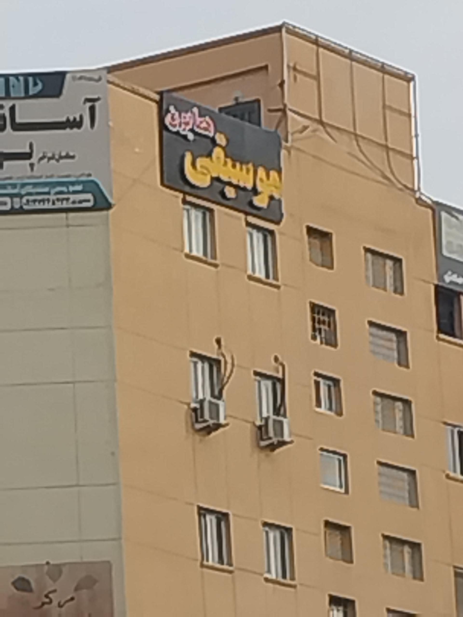 عکس موسیقی همایون