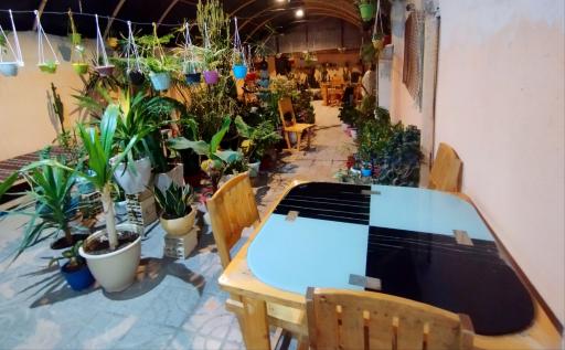 عکس کافه حاج بابا