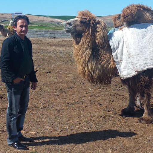 عکس دشت مغان