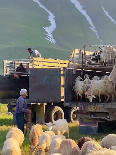 عکس دشت مغان