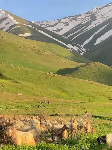 عکس دشت مغان