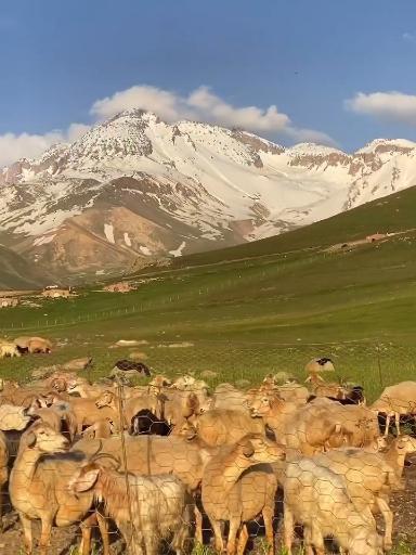 عکس دشت مغان