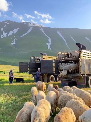 عکس دشت مغان