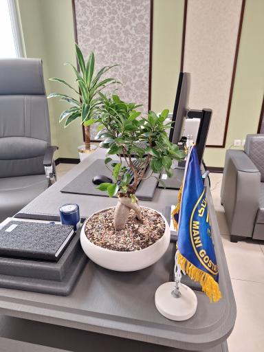 عکس موسسه حسابداری مانی گستر فرتاک