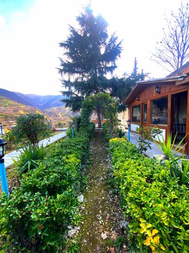 عکس کافه رستوران باغ صفا