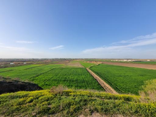 عکس دشت مغان