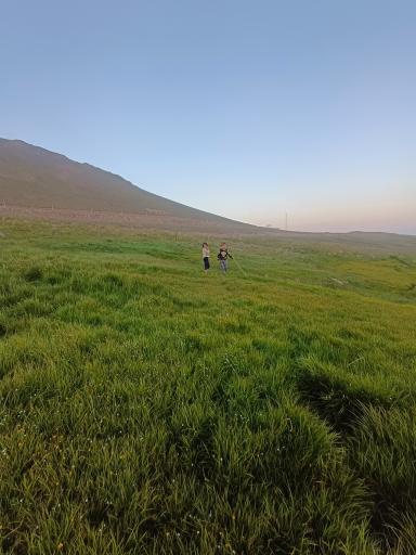 عکس دشت مغان