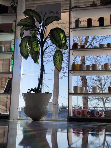 عکس لوازم تحریر و چاپ کالج 