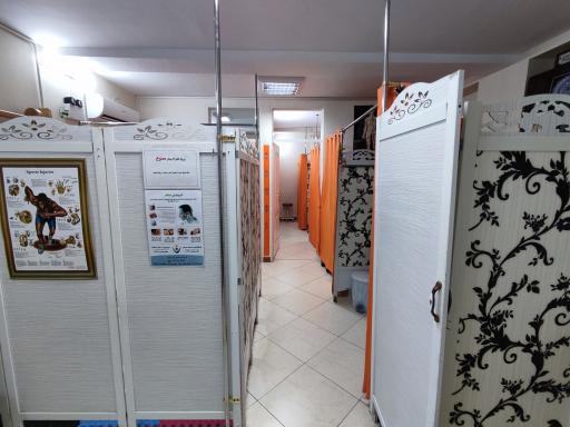 عکس فیزیوتراپی همگام