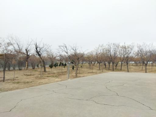 عکس بوستان مولانا