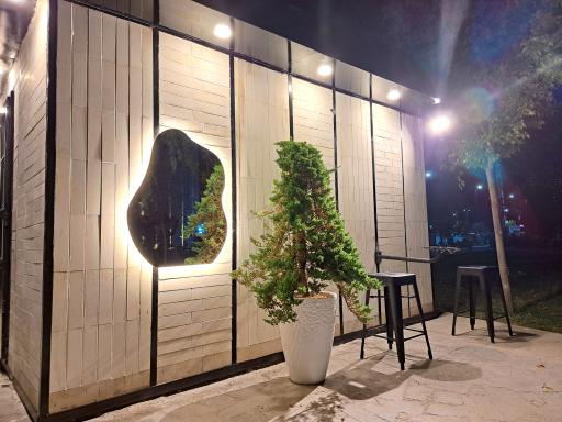 عکس کافه رست