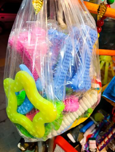 عکس پرنده سرای دایی