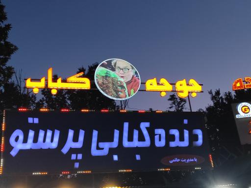عکس دنده کبابی پرستو