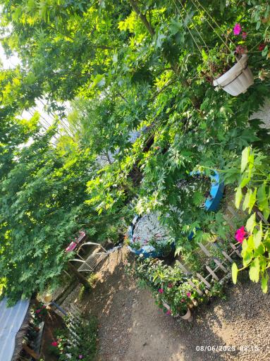 عکس اقامتگاه بومگردی تاپ جمشید