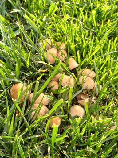 عکس بوستان  عفاف (امید)