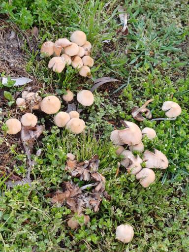 عکس بوستان  عفاف (امید)