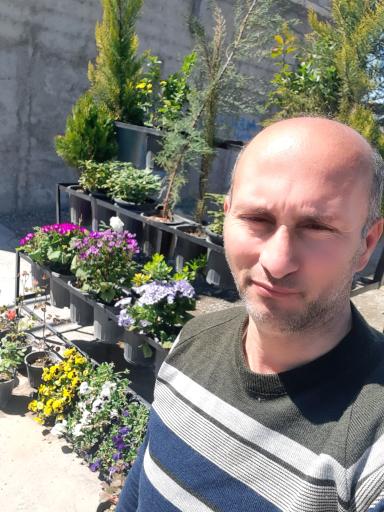 عکس گلخانه لوماتیا