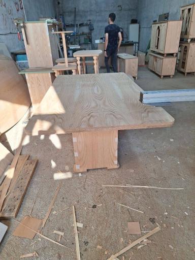 عکس ژیکا چوب