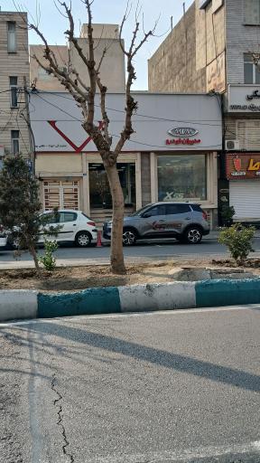 عکس مدیران خودرو لطفی پور