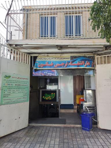 عکس دارالشفا حضرت نرجس خاتون (سلام الله علیها)