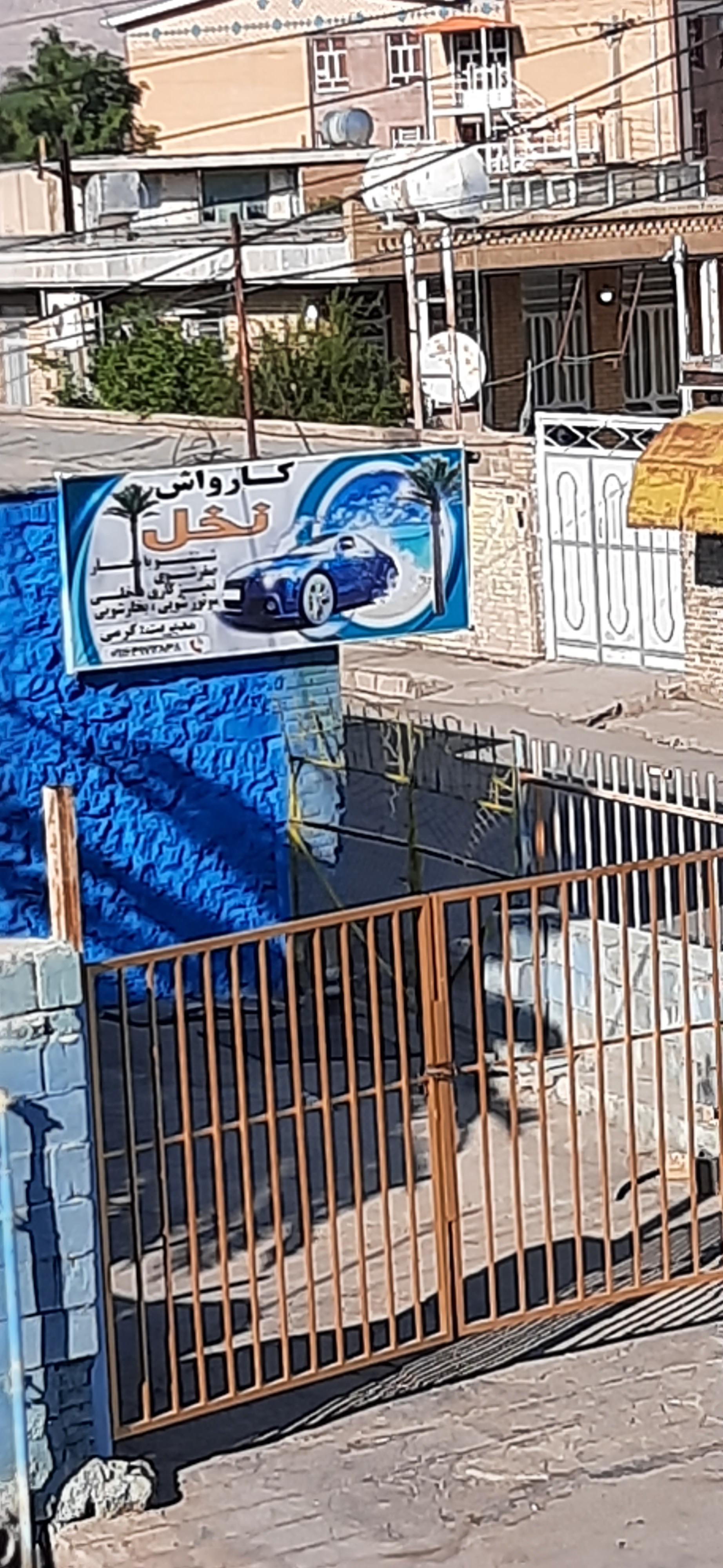 عکس کارواش نخل