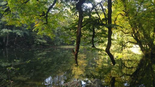 عکس دریاچه فراخین